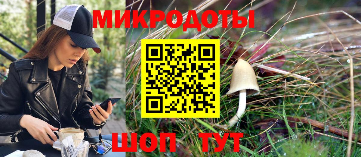 Галлюциногенные грибы прущие грибы Саратов
