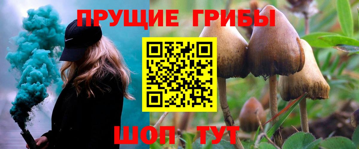 Галлюциногенные грибы GOLDEN TEACHER  Вход с VPN  Саратов 